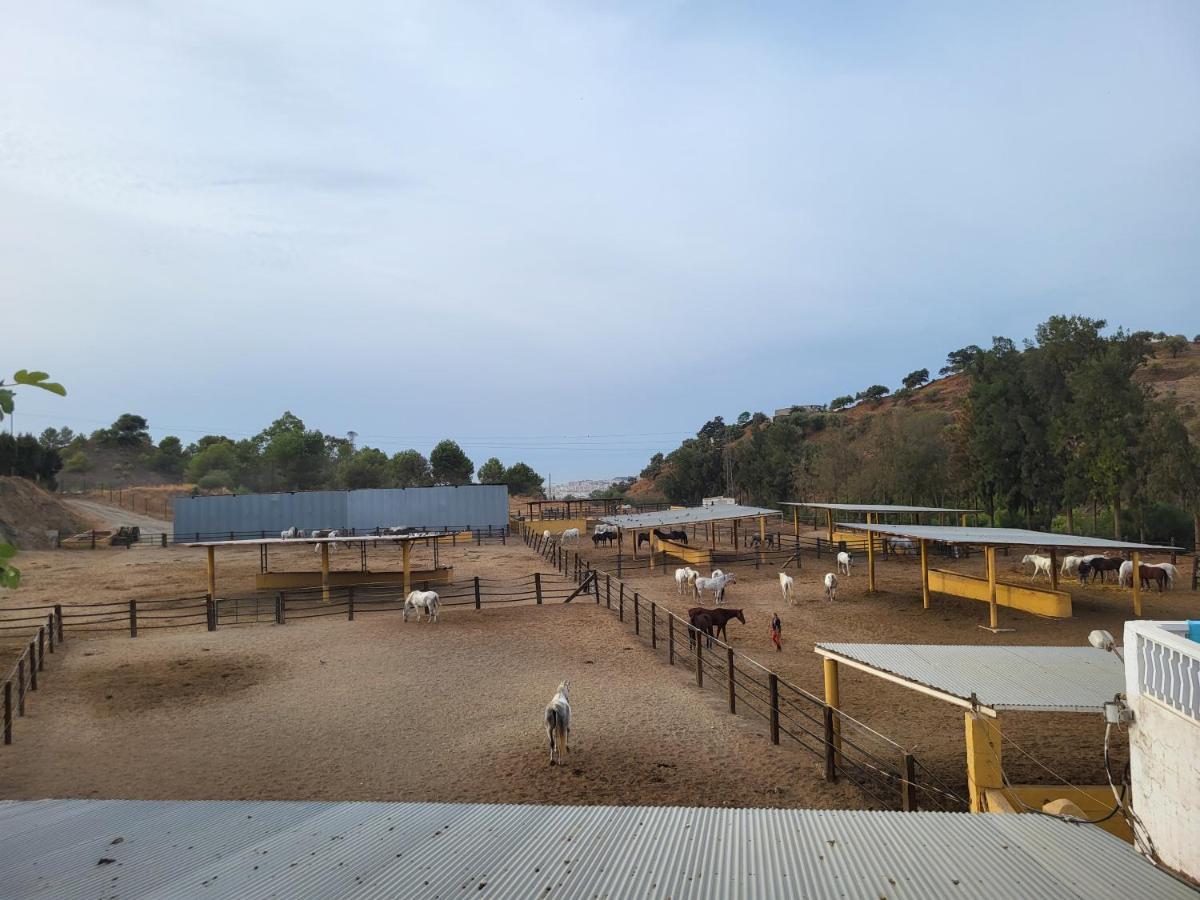 Finca Palmers Dos Mijas Kültér fotó